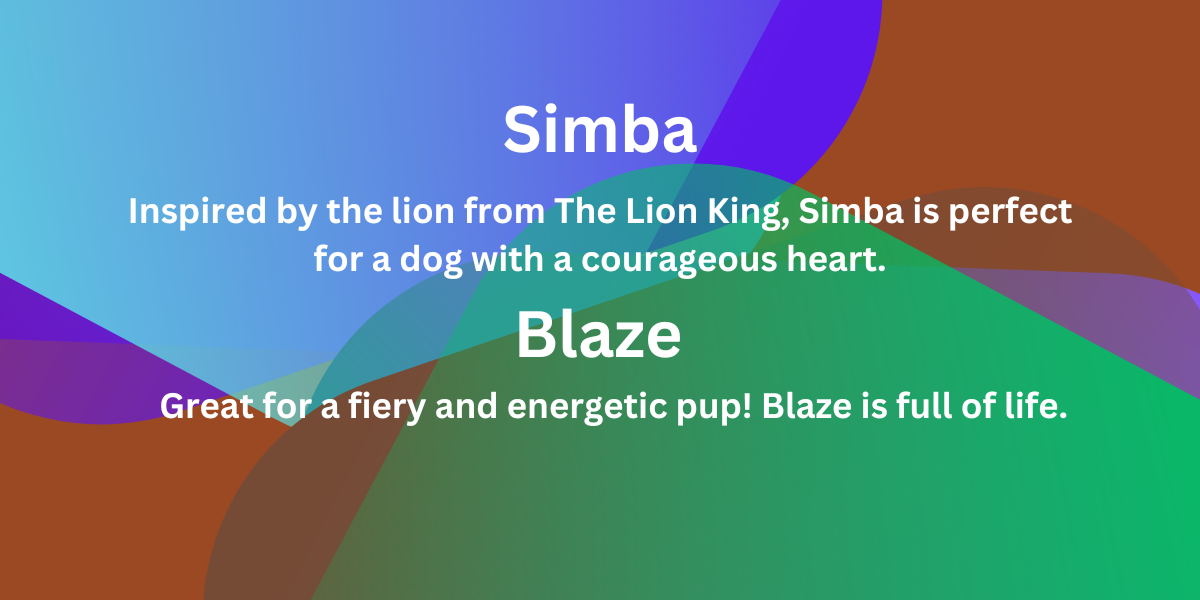 Boy Dog Names