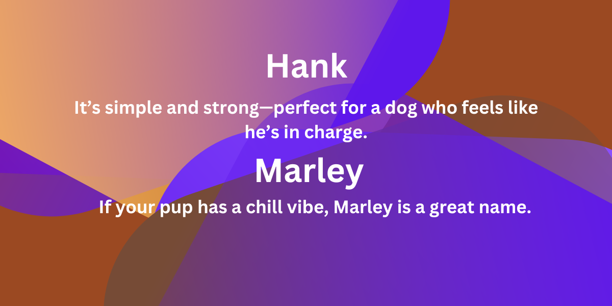Boy Dog Names