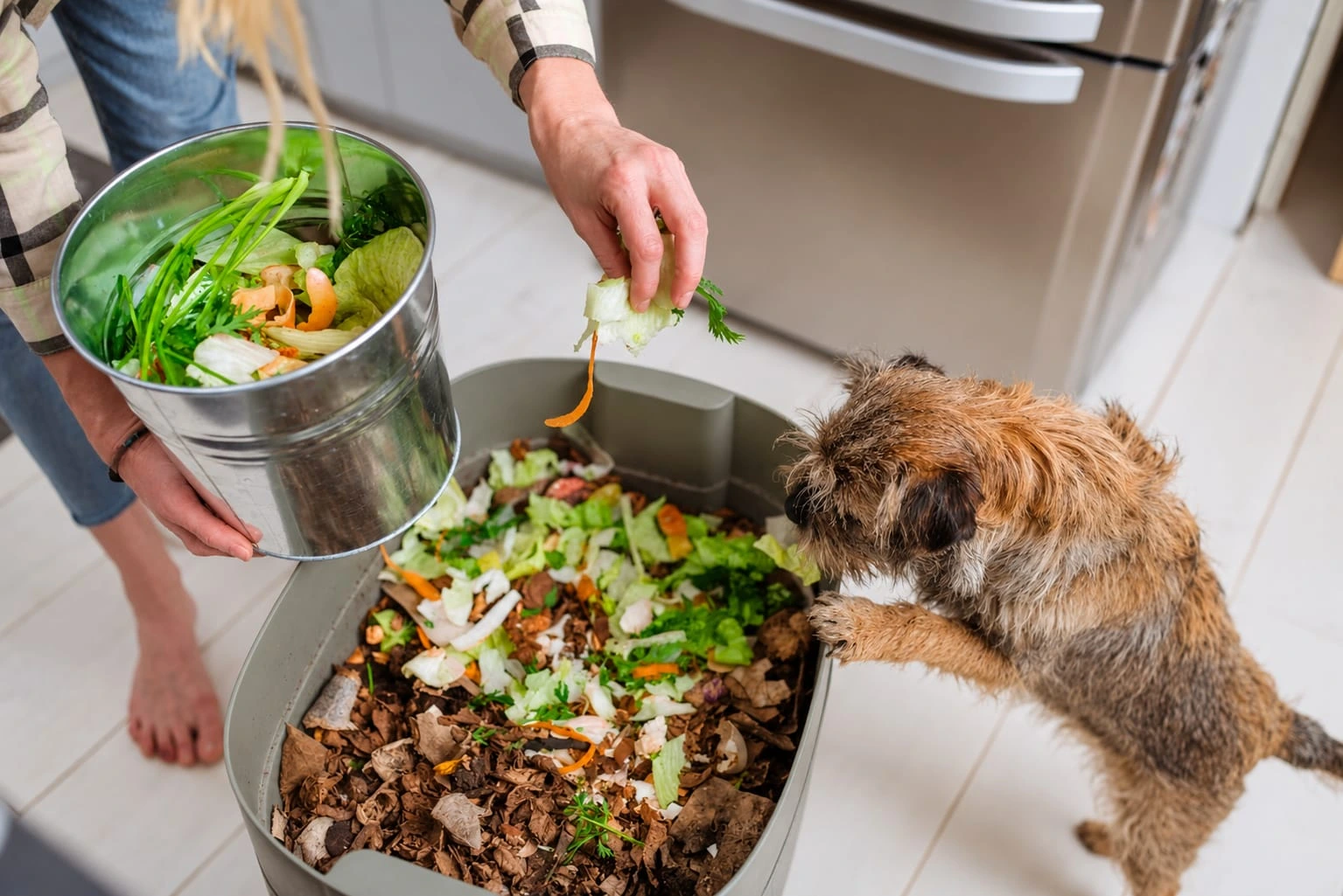 food dog names