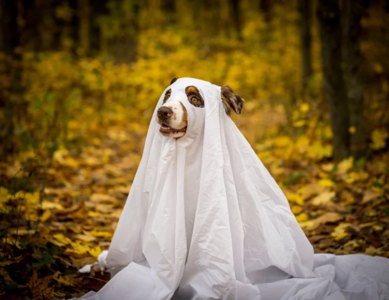 scary dog names