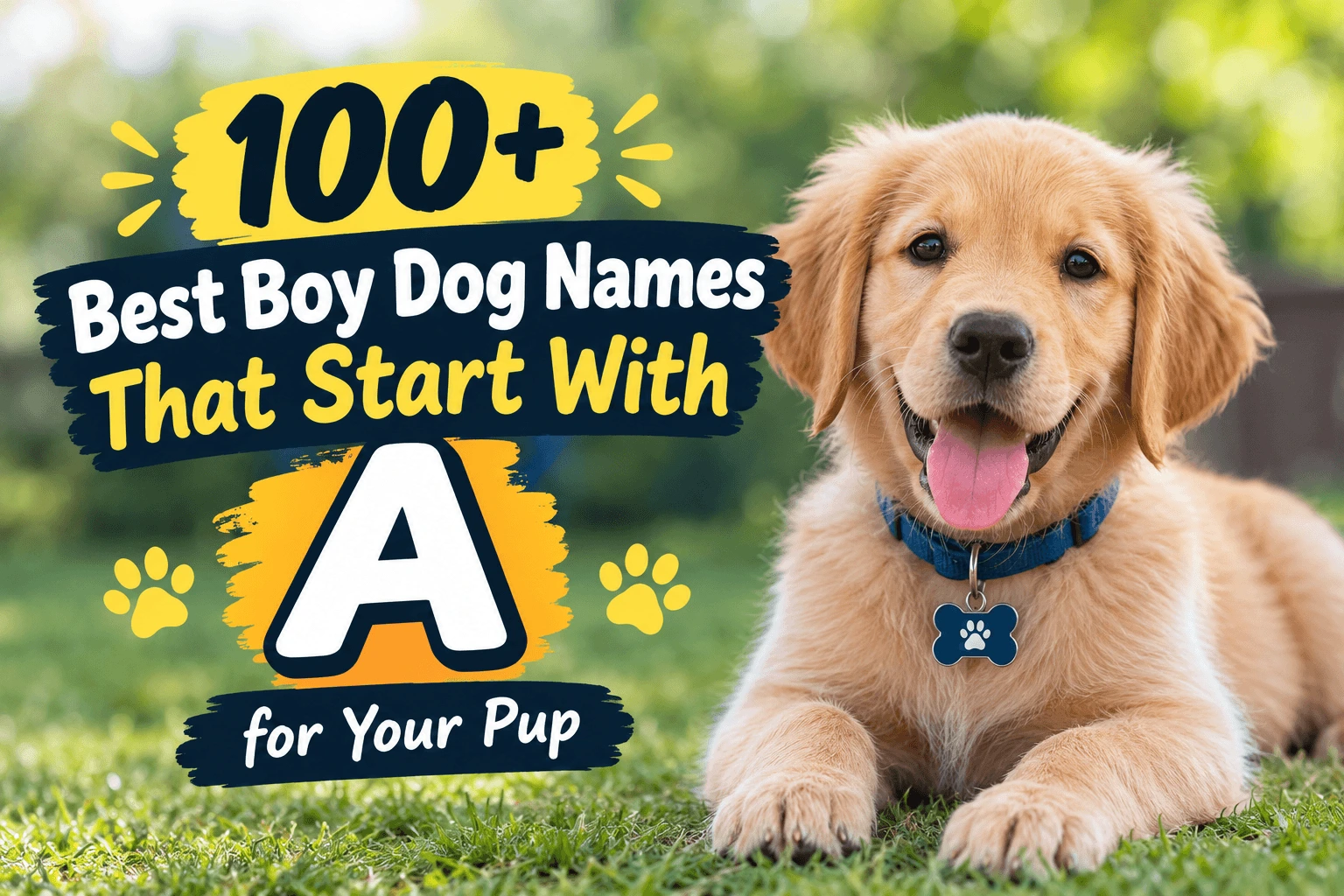 Best Boy Dog