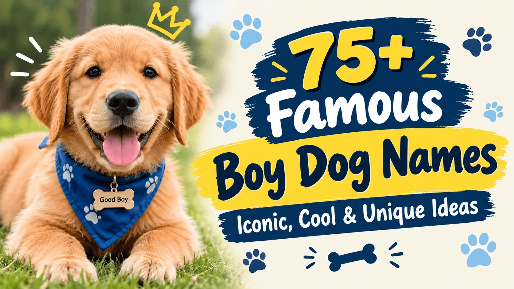 Famous Boy Dog