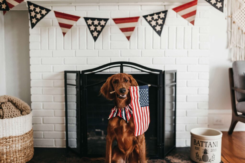 Presidential Boy Dog