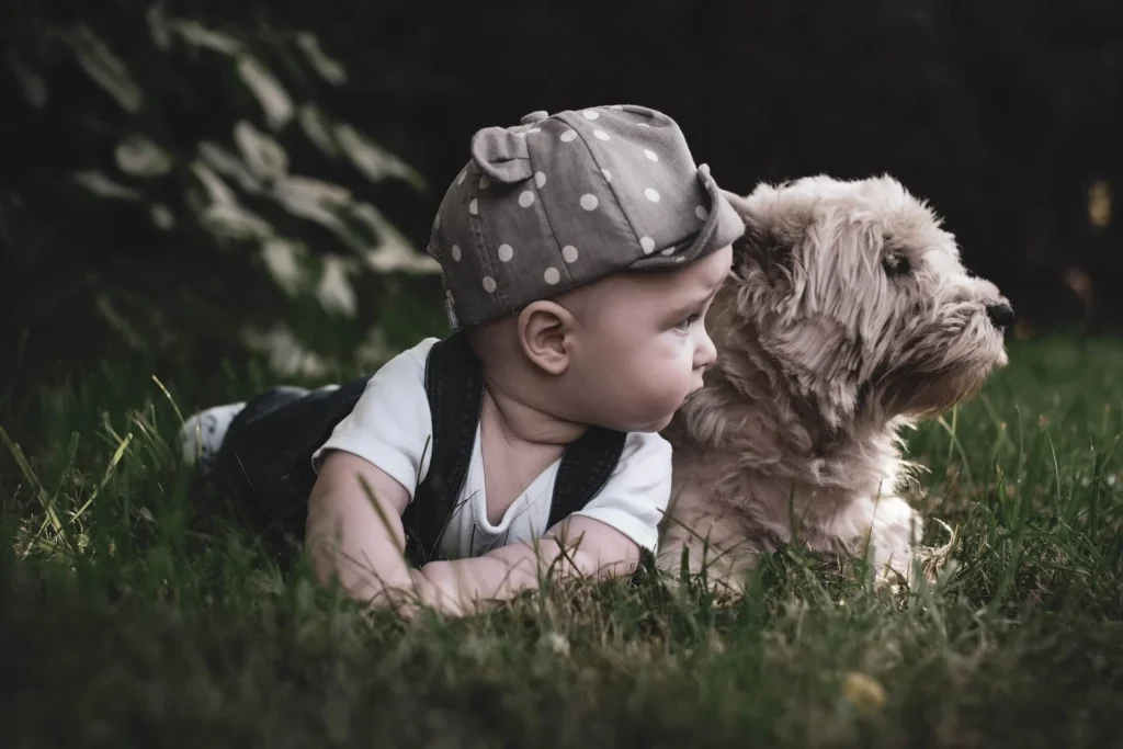 Cute Boy Dog