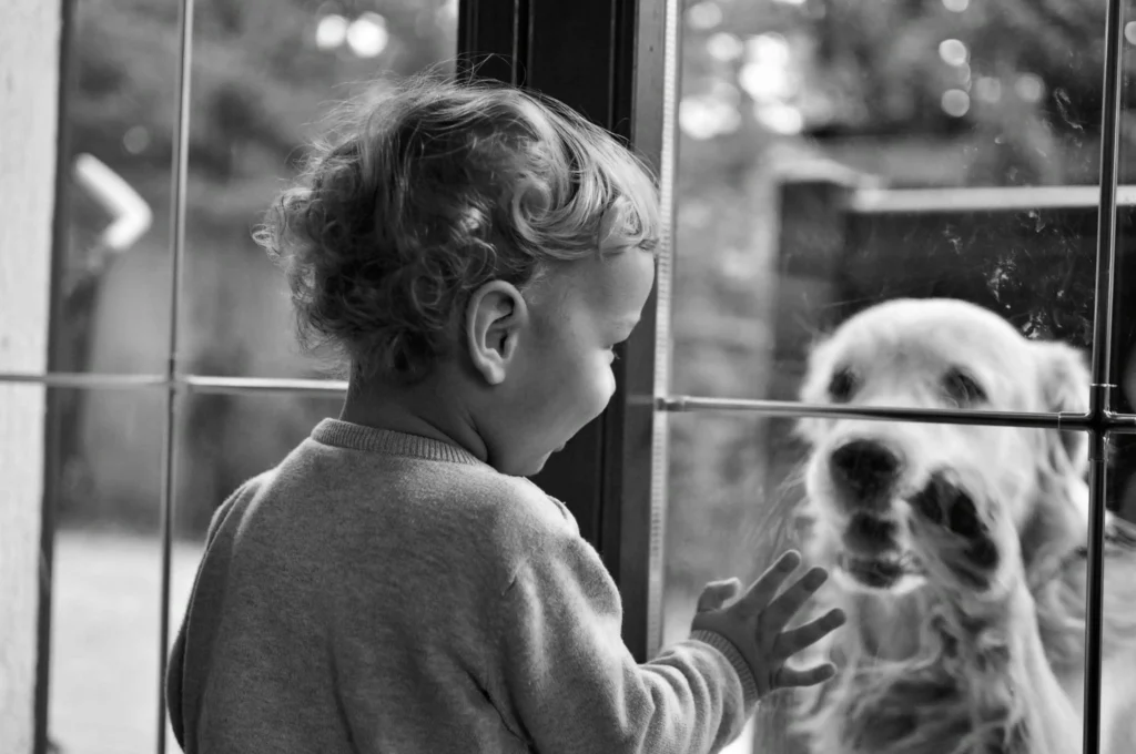 Boy Dog in Other Languages