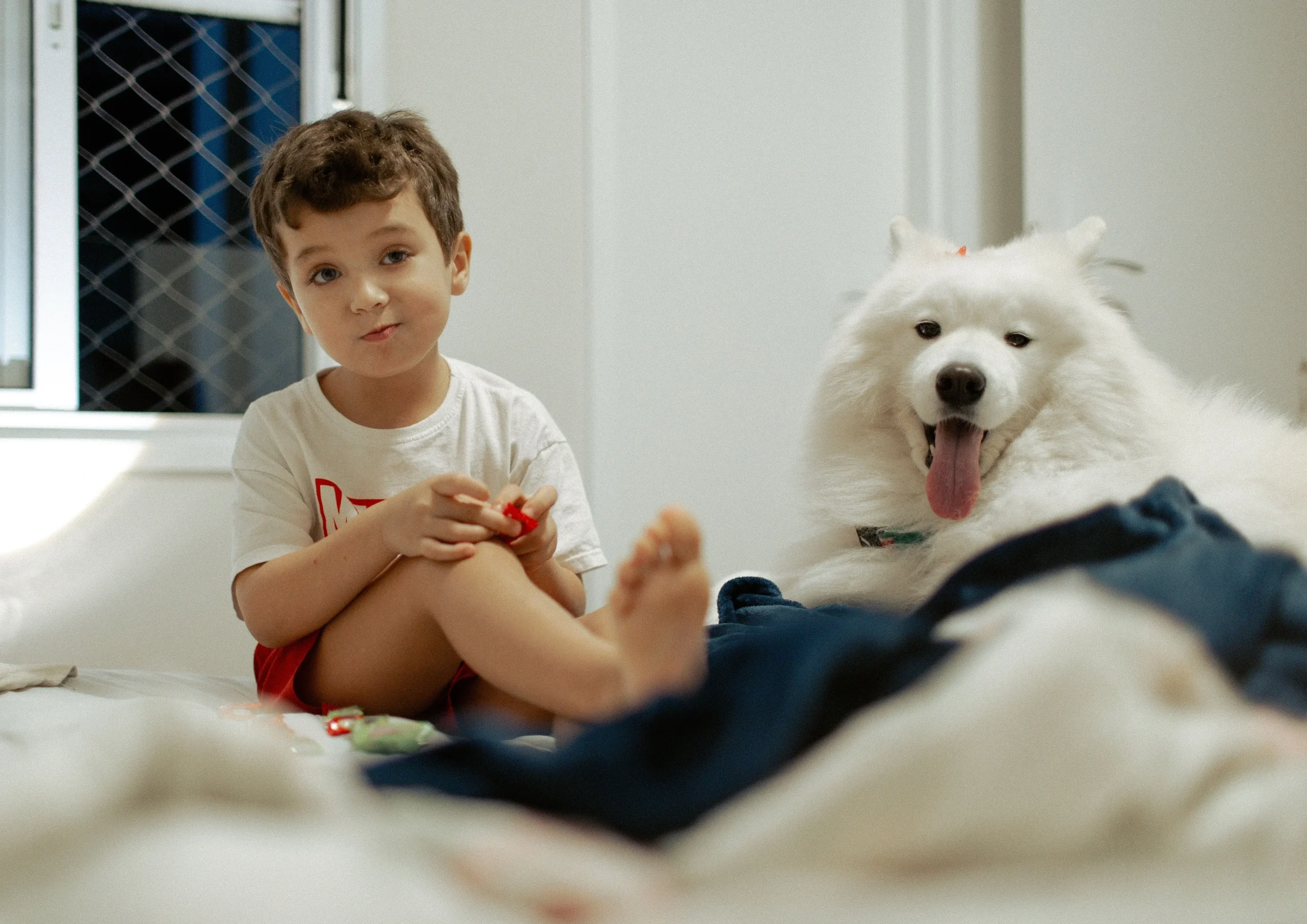 Adorable and Sweet Male Dog
