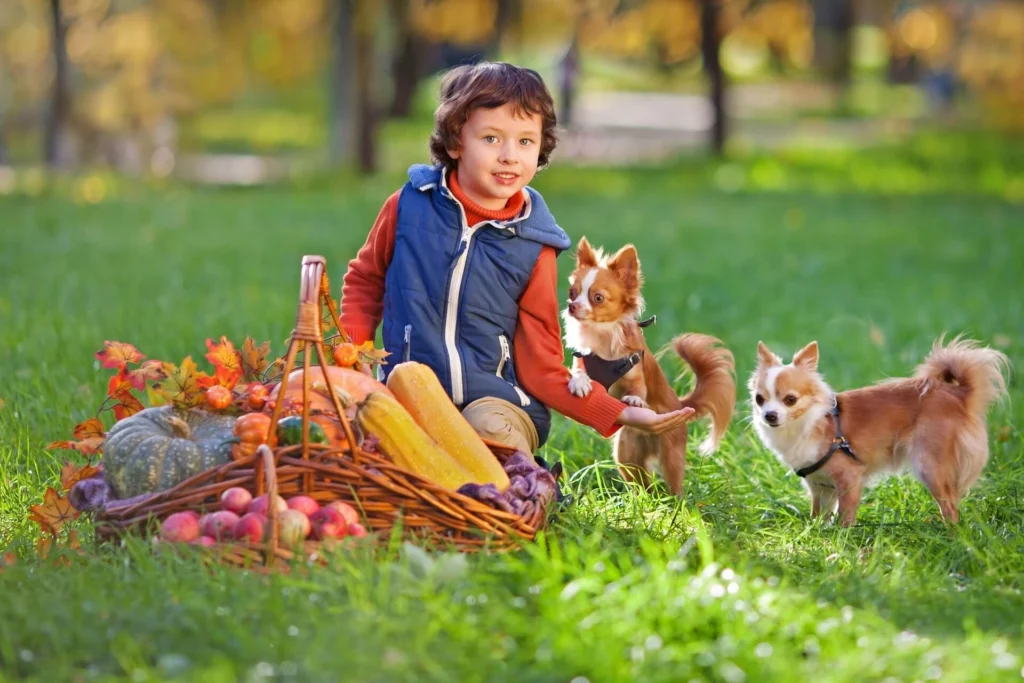 Nature & Food-Inspired Boy Dog