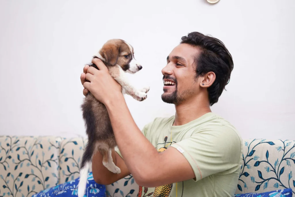 Cute Boy Puppy Based on Personality