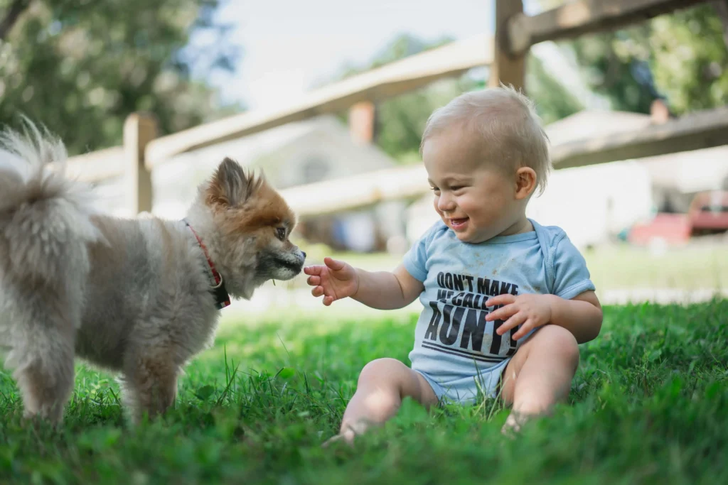 Small Cute Boy Dog
